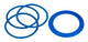 Campagnolo naafd ca shamal bora zonda lager afdichtrubber db