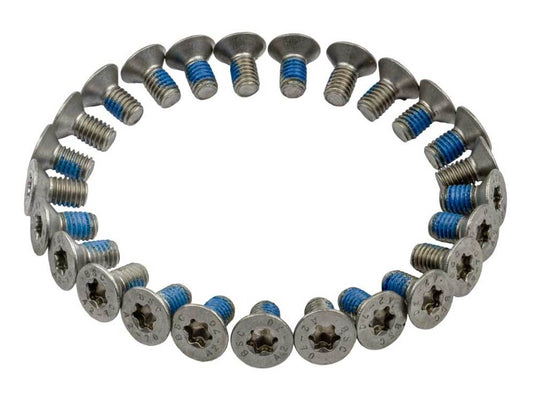 Anp bout m6x12 torx din 7991 a2-070 ds a 25