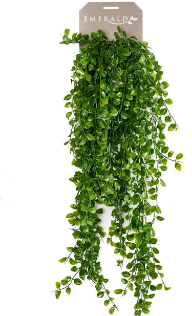Emerald - kunst hangplant ficus pumila 80cm - kunstplant voor binnen
