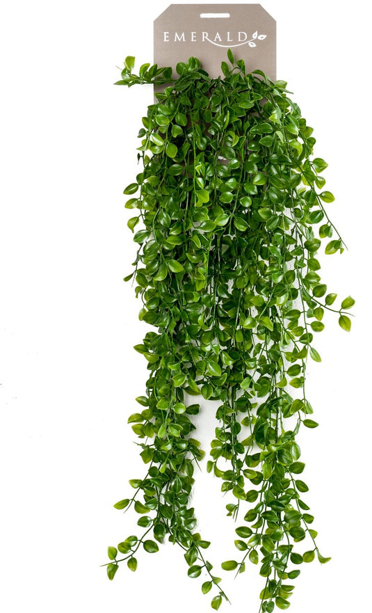 Emerald - kunst hangplant ficus pumila 80cm - kunstplant voor binnen