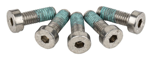 Anp bout m5x14 inbus din 7974 lock rvs ds a 5