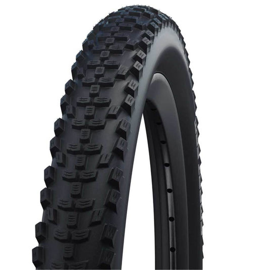 Schwalbe buitenband 20 smart sam