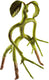 Noble collection fantastic beasts: buigbare bowtruckle