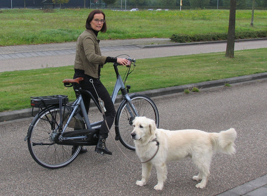 M-wave springer honden-fiets-beugel