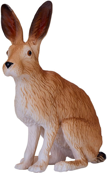 Mojo wildlife haas - 381072