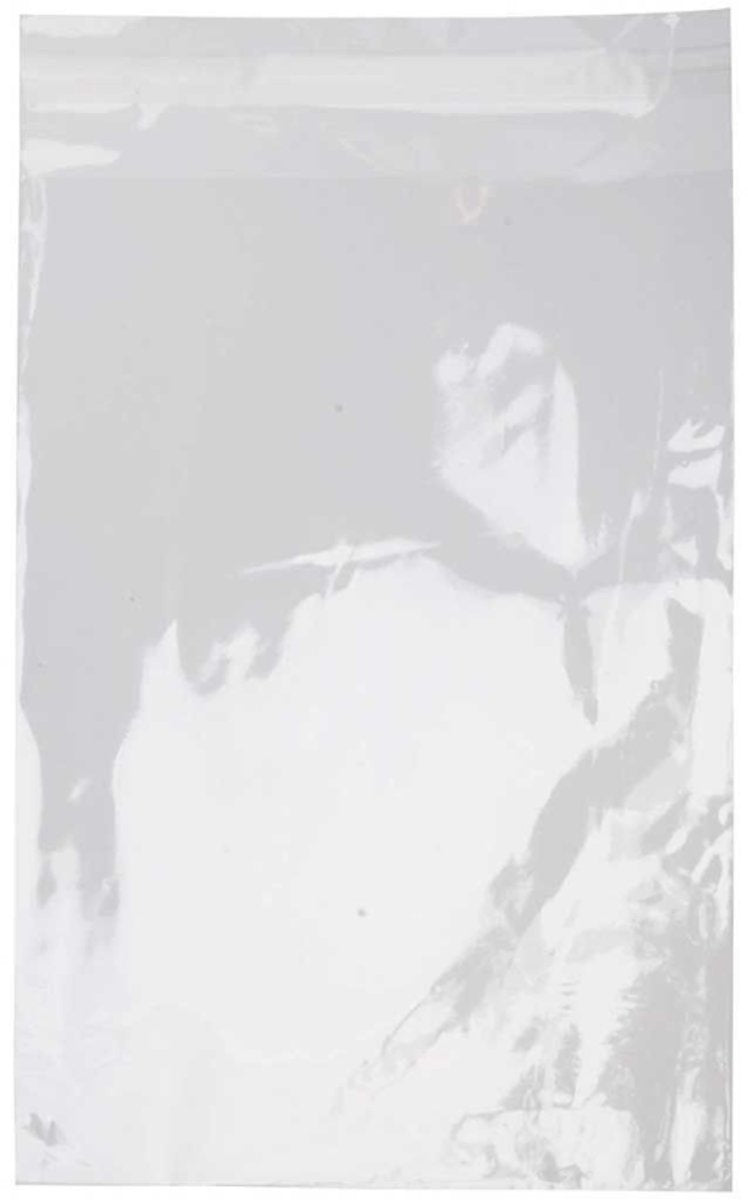Load image into Gallery viewer, Creativ company cellofaan zakjes 17 x 12 cm, 200st.
