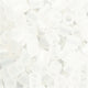 7393968005853