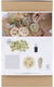 Creativ company https: www.cchobby.nl hobbyset-zeep-maken-loofah-olijfgroen-1-doos