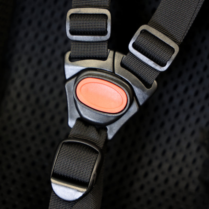 Load image into Gallery viewer, Edge cargocomfy peuterschaal 7-19 maanden - zwart
