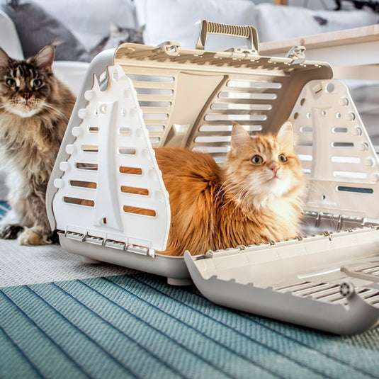 Rotho toby huisdieren drager antraciet