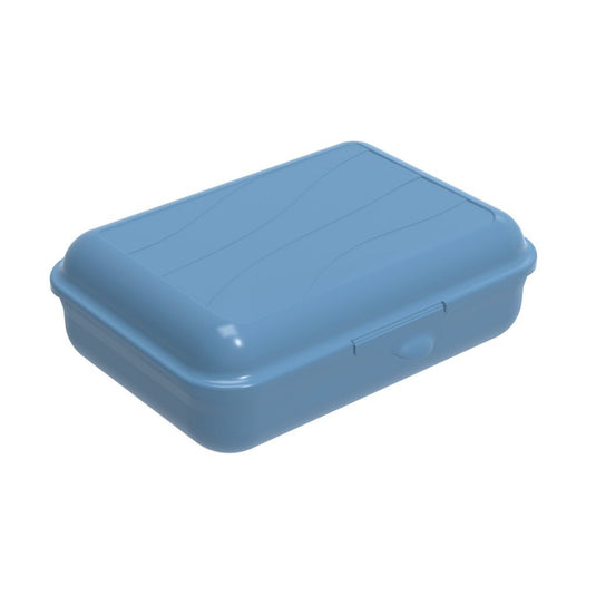 Rotho fun lunchbox 1.25l horizon blauw