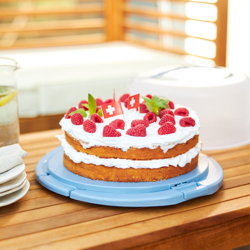 Load image into Gallery viewer, Rotho fresh taartdoos cool horizon blauw
