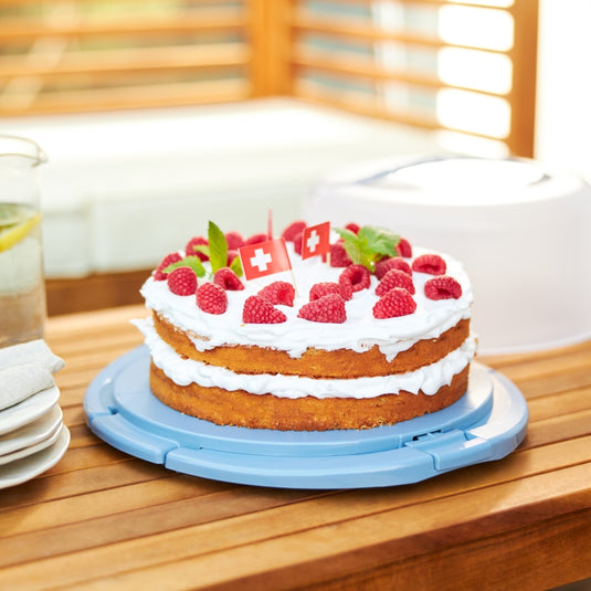 Rotho fresh taartdoos cool horizon blauw