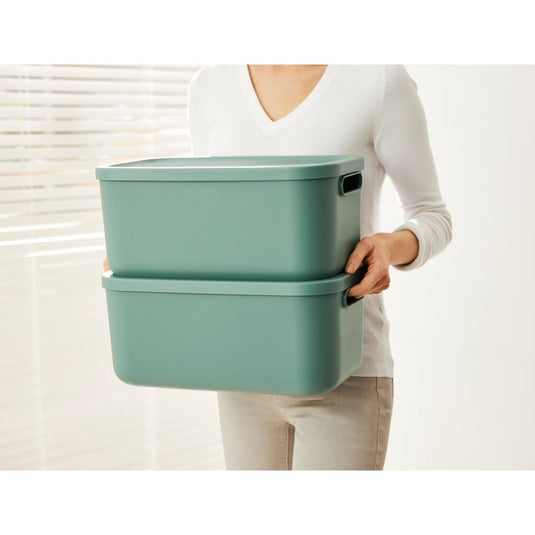 Rotho albula opbergbox 12l mistletoe groen