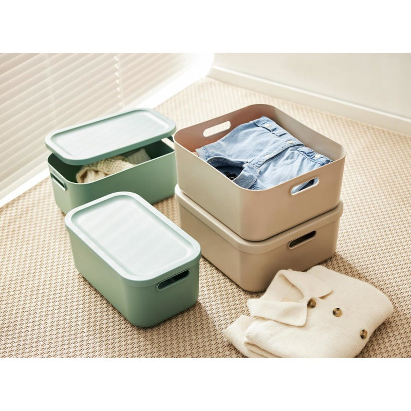 Load image into Gallery viewer, Rotho albula opbergbox 12l mistletoe groen
