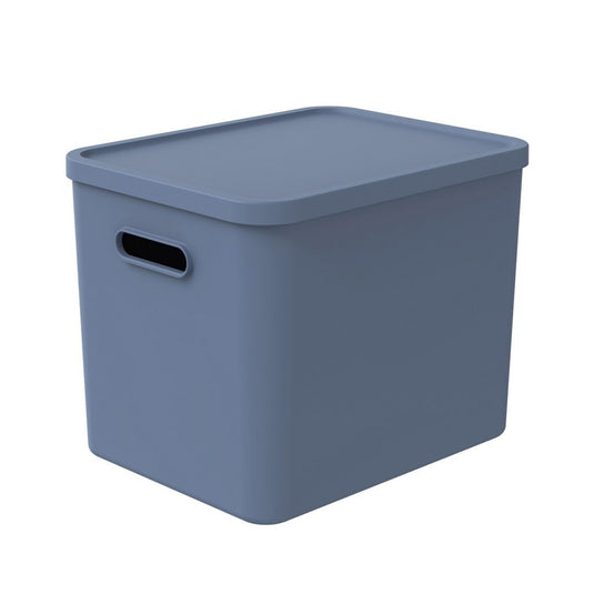 Rotho albula multibox 29.5x29x37 cm 27l horizon blauw