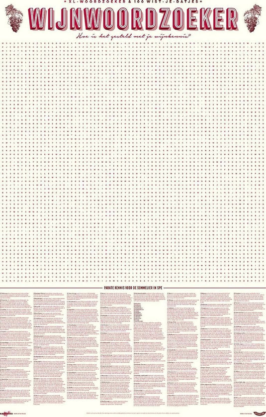 Stratier xl spelposter - 100 wijntermen woordzoeker – wijn – weetjes - spel