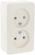 Berker opbouw wandcontactdoos (wcd) 2-voudig polarwit