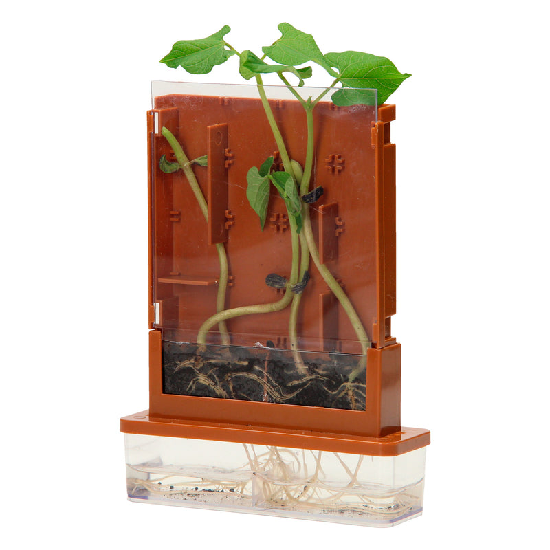 Load image into Gallery viewer, Experimenten - planten doolhof, 21dlg.
