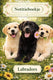 Notitieboekje, labradors