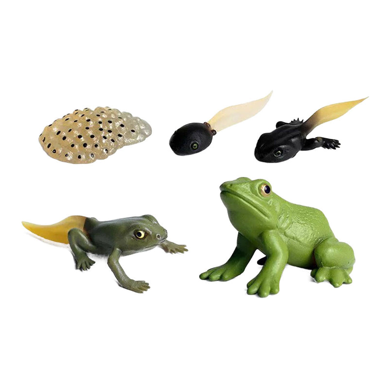 Load image into Gallery viewer, Cycplus levenscyclus kikker speelfiguren set
