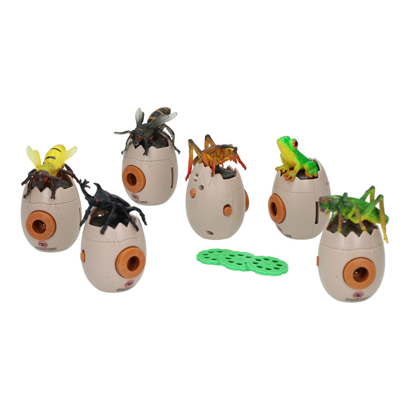 Afbeelding laden in galerijviewer, Insecten projector
