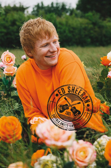 Abystyle poster ed sheeran - rose field 61x91,5cm