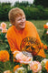 Abystyle poster ed sheeran - rose field 61x91,5cm