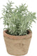 True to nature esschert design - kunstplant tijm in terracotta pot ah001