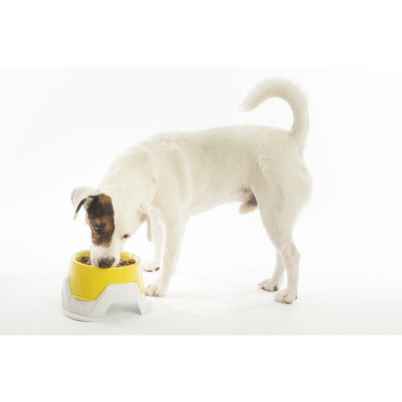 Load image into Gallery viewer, Bama pet voederbak stapelbaar 19x10-13 cm assorti
