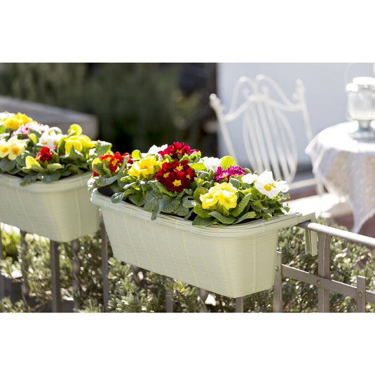 Bama fioriera bloem-balkonbak 60x20x18.5 cm sagegroen