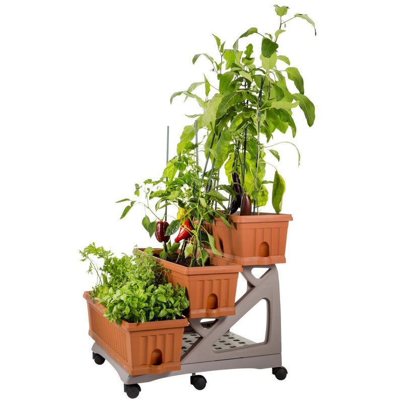 Load image into Gallery viewer, Bama orto di kit plantenbakken 80x74x73 cm terracotta
