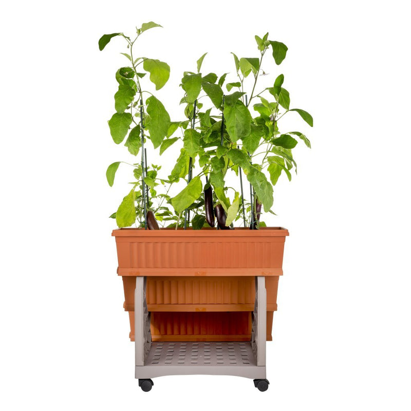 Load image into Gallery viewer, Bama orto di kit plantenbakken 80x74x73 cm terracotta
