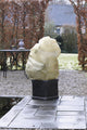 Nature - winterhoes - h100 x ø50cm (3 stuks) - beige - afdekhoes - met aantrekkoord