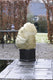 Nature - winterhoes - h100 x ø50cm (3 stuks) - beige - afdekhoes - met aantrekkoord
