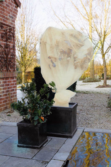 Nature - winterafdekvlies voor planten - 2 x 5m - 60 g m² - winterbescherming