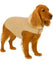 Flamingo hondenjas – bonnie – honden jas – hondenjasjes winter – hondenjas waterdicht – 45 cm – a:45cm b:36-44cm c:58-64cm – beige