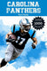 Carolina panthers fun facts
