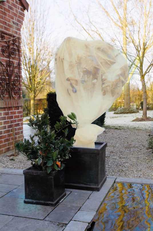 Nature - winterafdekvlies voor planten - 2 x 10m - 60 g m² - winterbescherming