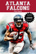 Atlanta falcons fun facts