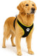 Flamingo harnas hond – honden tuigje – harnas hond anti trek – hondentuigjes – hondentuig anti trek – step go tasha – zwart – maat xl – a:65cm b:90-115cm x 20mm x 5mm