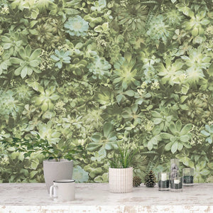 Noordwand behang evergreen succulent groen en beige