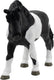 Bullyland 62676 – speelfiguur en verzamelfiguur lewitzer merrie – ca. 8,2 cm – levensecht en detailrijk vormgegeven – ideaal als taartfiguur en klein cadeautje voor kinderen vanaf 3 jaar.