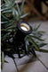 Nordlux spotlight prikspot buiten - ø10cm - gu10 - ip54- zwart