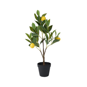 Decoris citroen boom in pot polyester dia.24x60cm
