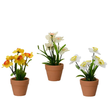 Decoris bloem narcis in terra cotta pot ã˜7.5xh18cm