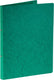 Bronyl ringmap | voor ft a4 | uit glanskarton | 2 ringen van 16 mm | groen