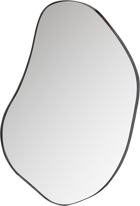 Woood romee organische spiegel - metaal - zwart - 100x70x4
