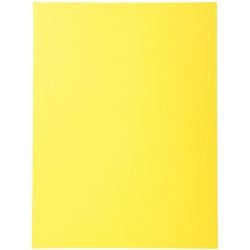 Exacompta sorteermap 420002e 170 g m geel a4