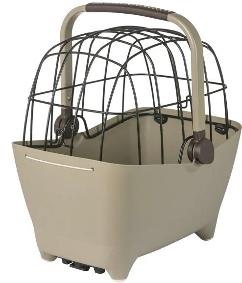 Basil mand buddy mik